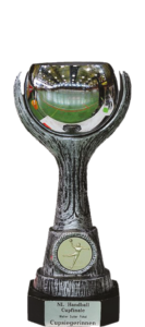 Handball, Nationalmannschaft, Schweiz, Landesmeister, Pokalsieger, Supercup, Spar Premium League, Özcelik Zerin