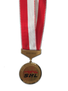 Handball, Schweiz, Feldhandball, Grossfeld, Landesmeister, Pokalsieger, Supercup, Gmür Dominique